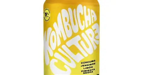 Kombucha Island roots + Alcohol 355mL