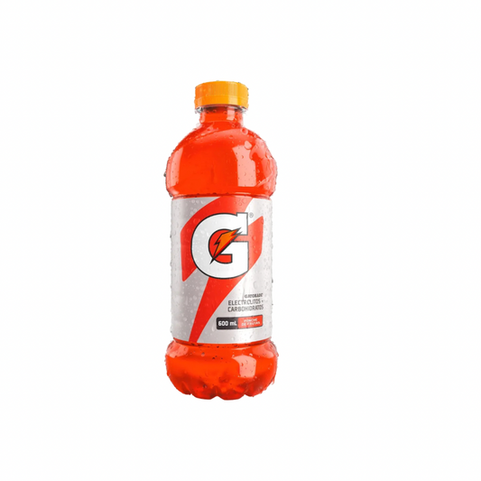 Gatorade Ponche de Frutas 600mL